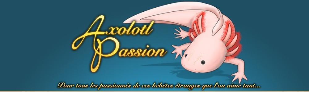 Axolotl-Passion