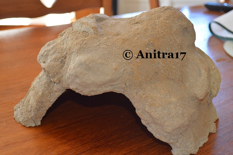 Pot 3